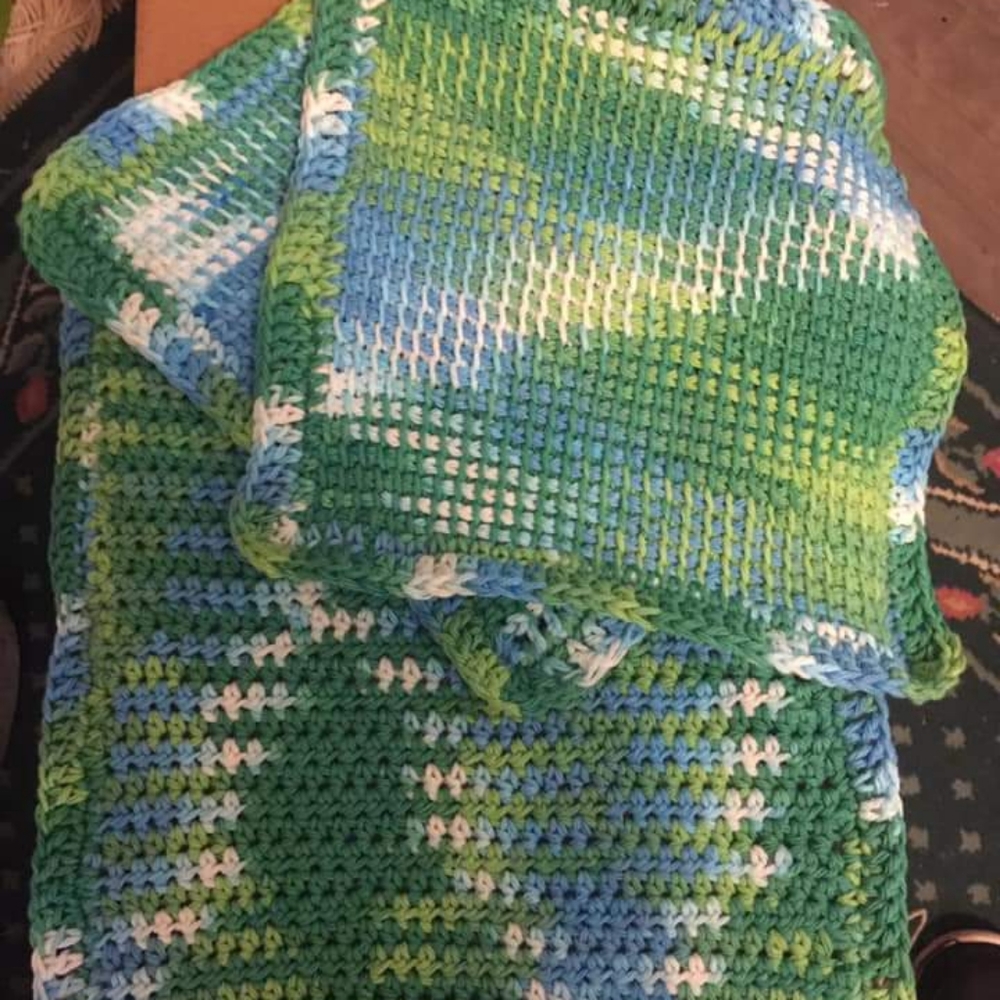 Disg rag and dish towel set